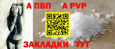 дурь Кингисепп