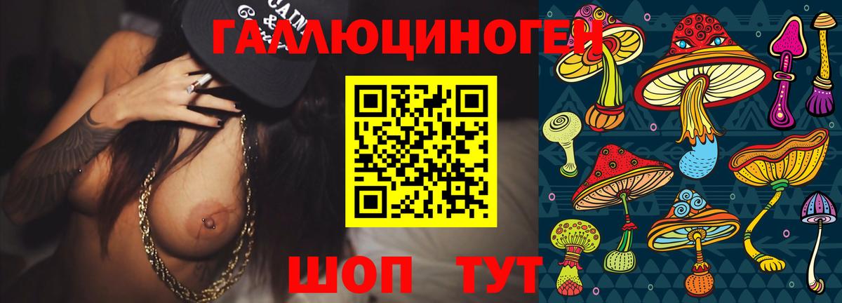 Якутск  Псилоцибиновые грибы GOLDEN TEACHER  Вход с VPN 
